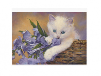 Картина по номерам арт. RAS20871 Котенок с цветами 20*30 в кор.