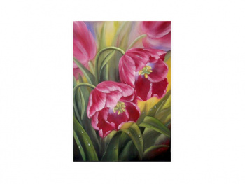 Картина по номерам арт. RA73926 Тюльпаны 40*50 в кор.