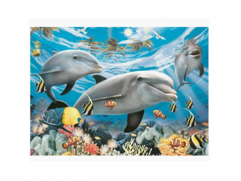 Картина по номерам арт. RA74135 Подводный мир 40*50 в кор. Картина по номерам арт. RA74135 Подводный мир 40*50 в кор.